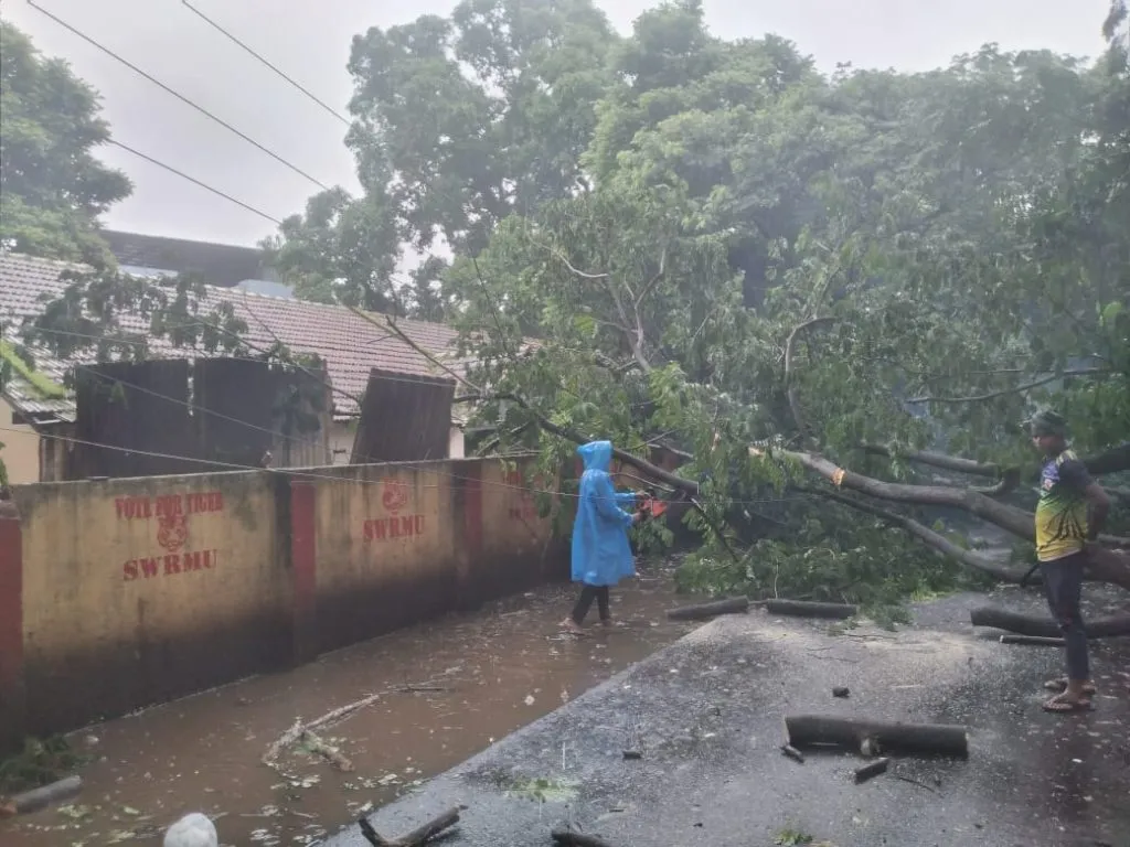 Power supply disrupted in the city due to fallen trees