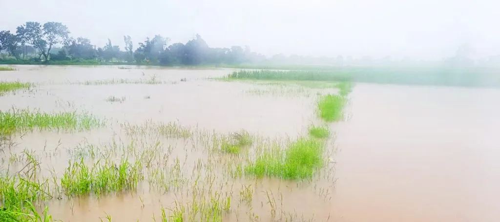 Basavan Kudchi's Ballari drain floods for the first time