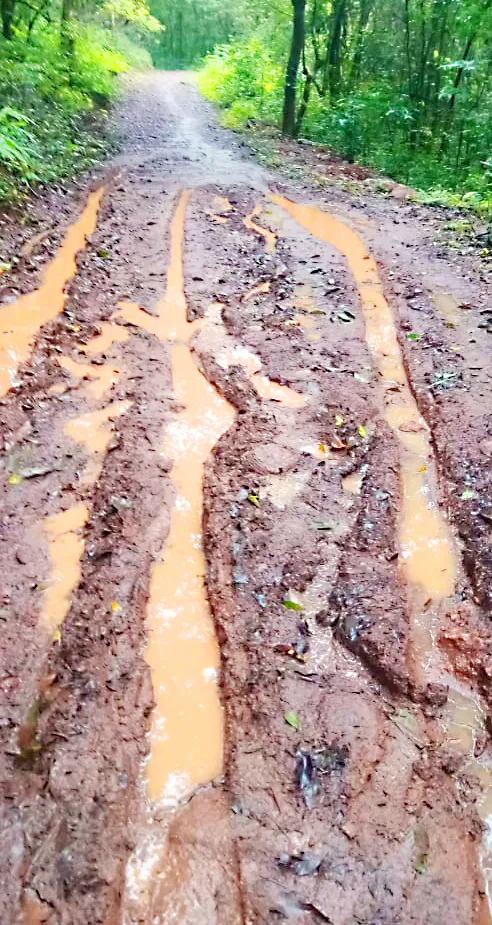 चिरेखानी संपर्क रस्त्याची दुर्दशा, नागरिकांचे हाल Plight of Chirekhani communication road, plight of citizens