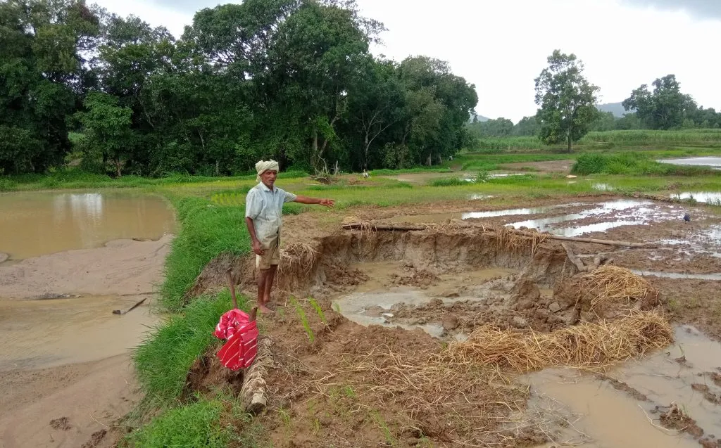 Potholes formed in fields due to heavy rain in Lalwadi area