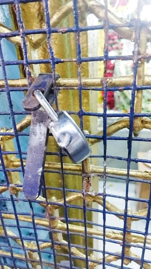 शनैश्चर मंदिरात चोरीचा प्रयत्न Attempted theft at Shanaishchar temple