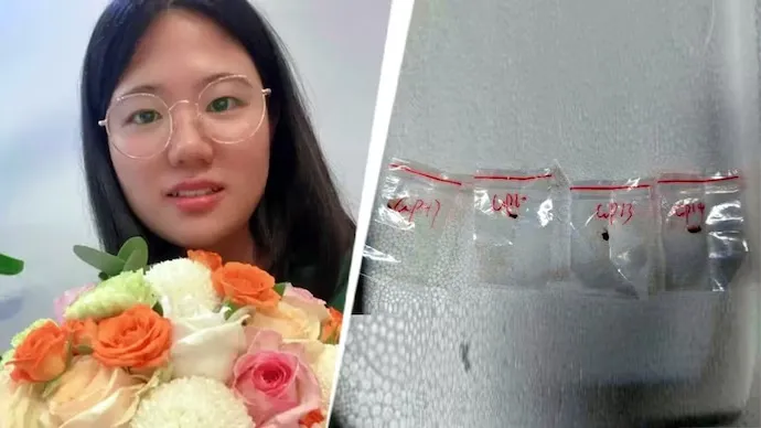 Chinese female scientist arrested in the US