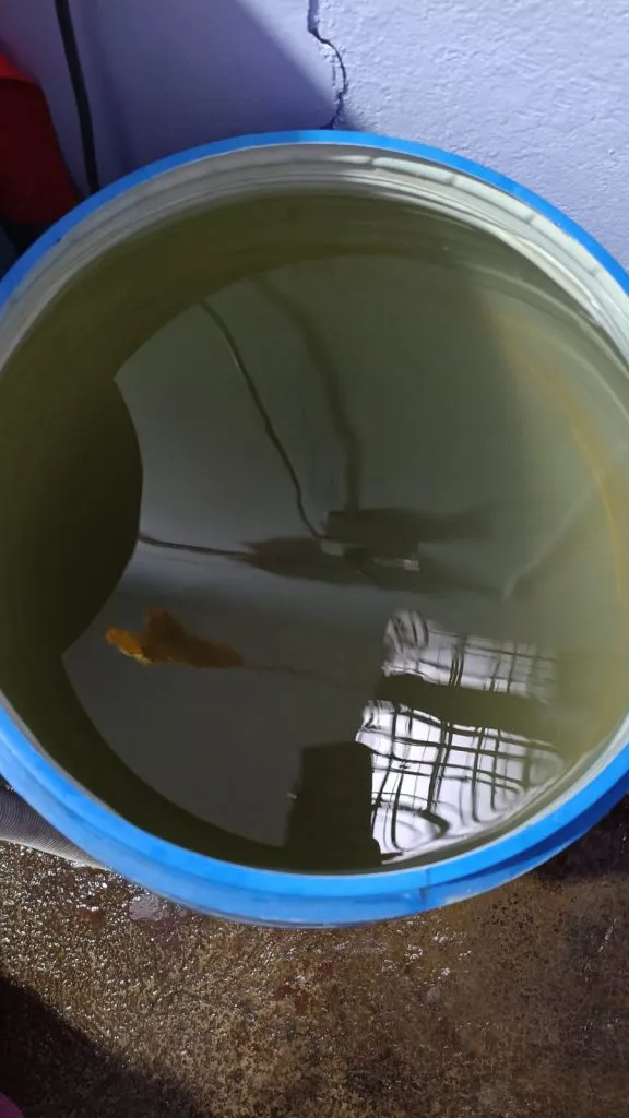 शास्त्रीनगर परिसरात अशुद्ध पाणीपुरवठ्यामुळे संताप Anger over impure water supply in Shastri Nagar area