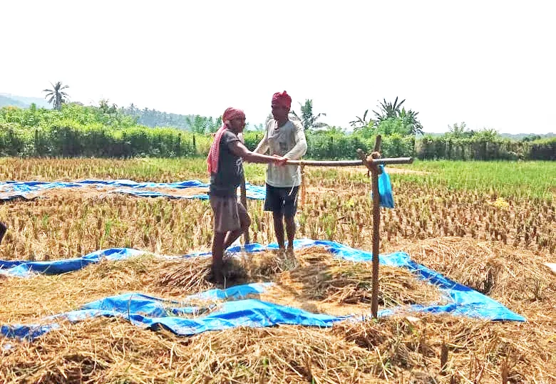 If the farmer survives, the land will survive..!