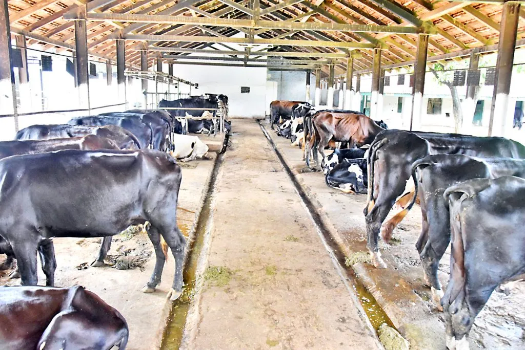 जिल्ह्यात 147 निवारा केंद्रांची निवड 147 shelter centers selected in the district