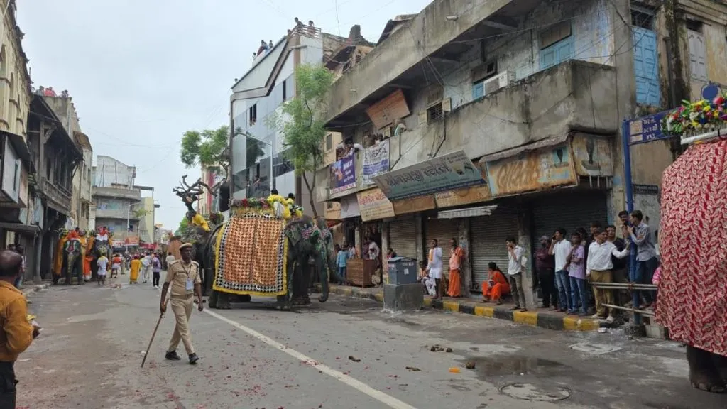 Elephant dies during Rath Yatra in Ahmedabad