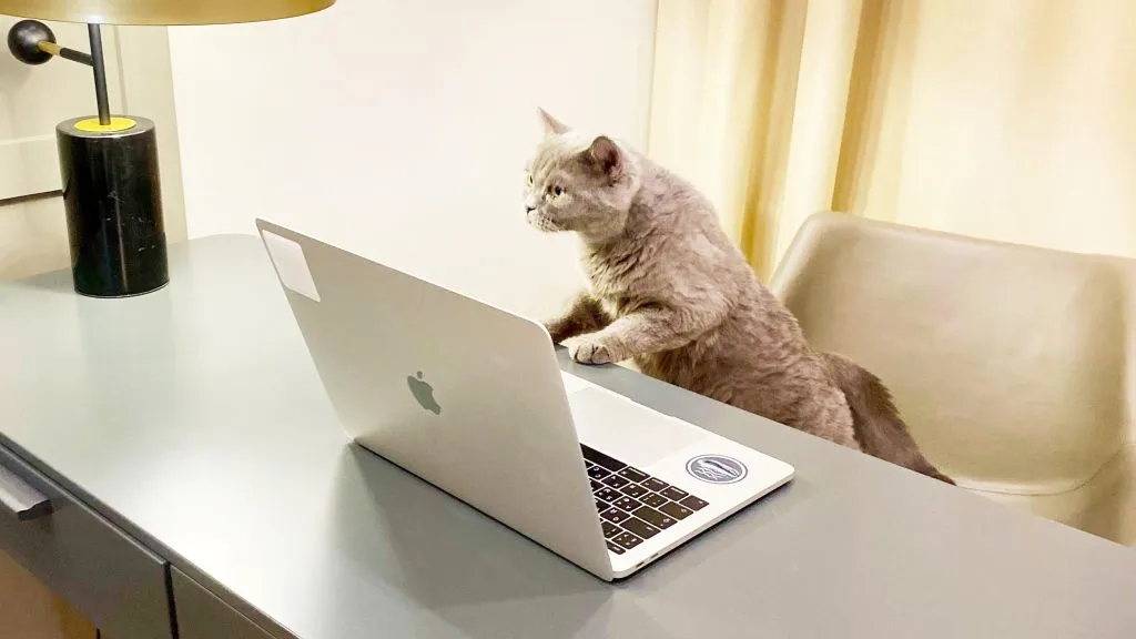 Salary over 7 thousand per hour