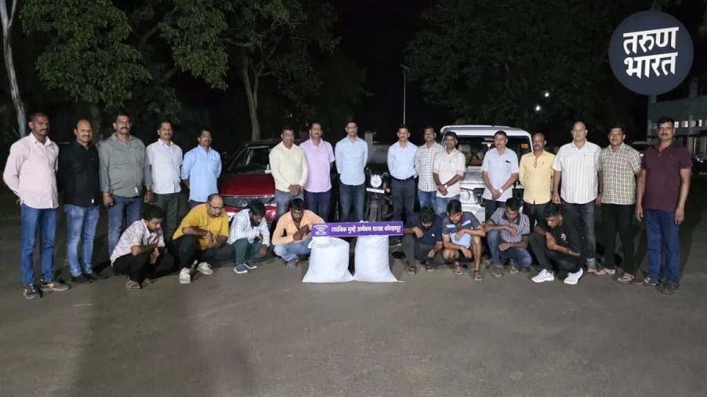 LCB ची धडक कारवाई, 4 जिह्यातील गांजा रॅकेट उद्धस्त, 8 जणांना अटक 8 people arrested and 41 kg of ganja seized in Ichalkaranji, Sangli