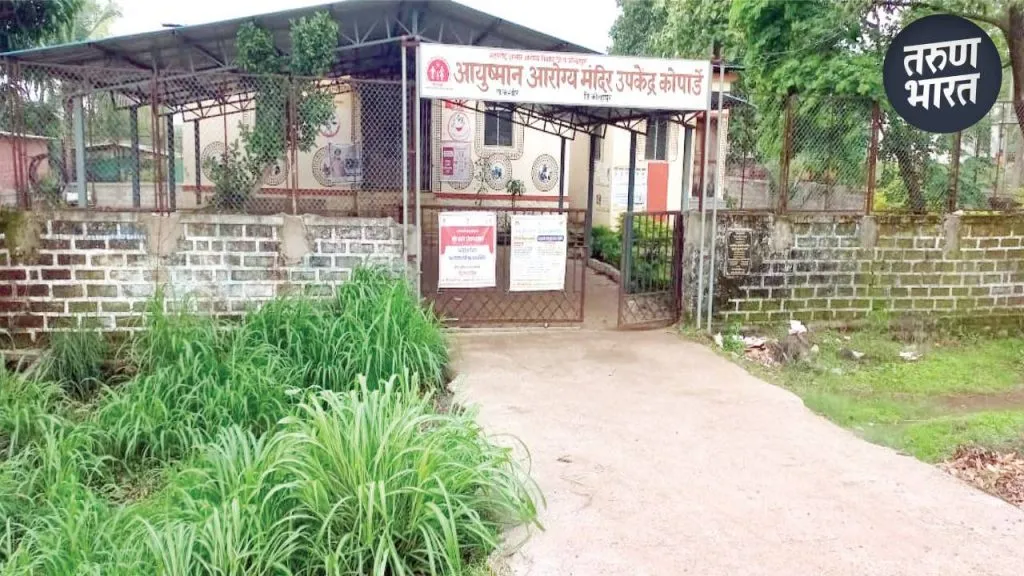 Collector Amol Yedge ordered allot to 1 hectare land health center