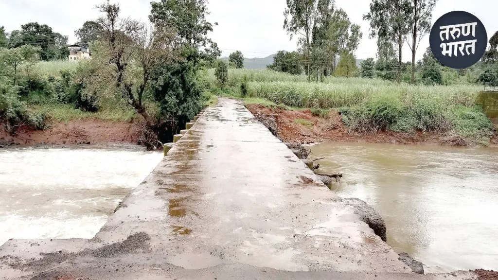 7 bridges connecting average 60 -100 years old lifespan checked