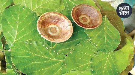 Plastic pallets are used widely everywhere because they cheaper