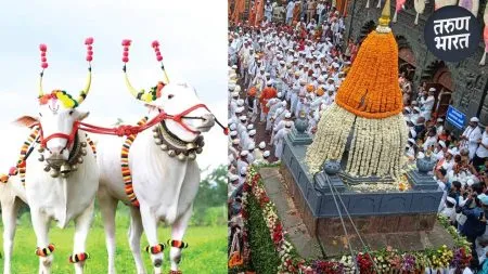 Padukas Tukoba placed palanquin Pandharpur and various bullock