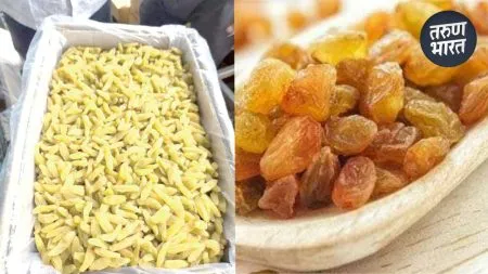 Bedana Bajar Bhav: शेतकऱ्यांच्या बेदण्याला यंदा सोन्याचा भाव, रेकॉर्ड ब्रेक दर Farmers golden year currants fetching average price 400 per kg