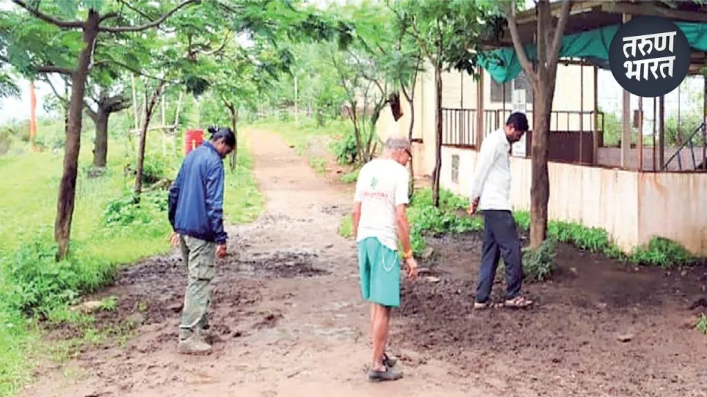 Satara News : बिबट्या दिसलेल्या परिसरात ठशांची शोधमोहीम Forest Department appealed citizens precautions leopards sighted