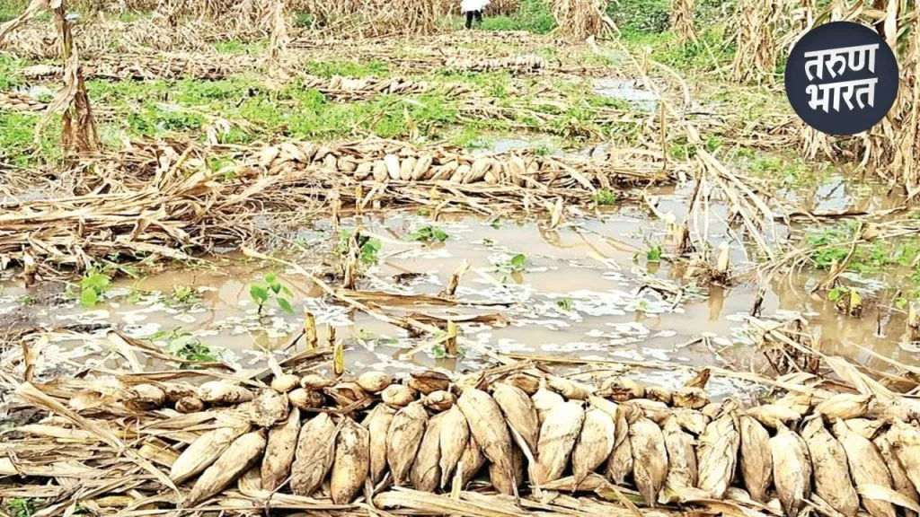 change sowing times embrace cutting-edge technology agricultural