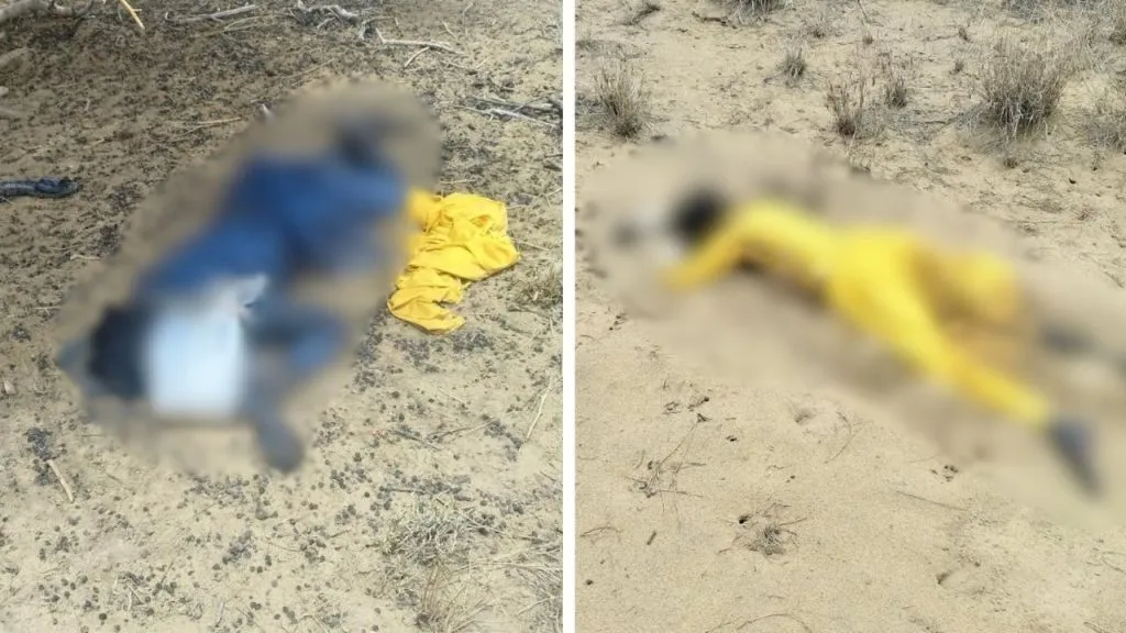 Bodies of Pakistani youth found near border