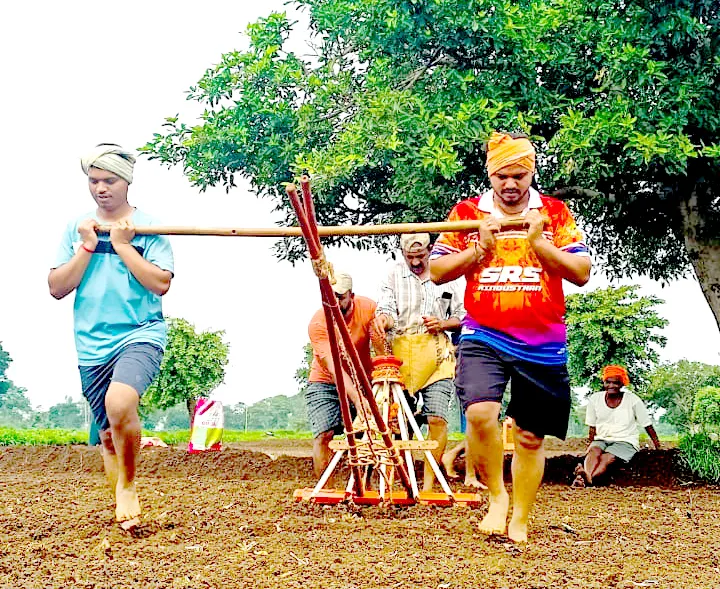Baliraja is busy in the sowing season in Angol Shivara.