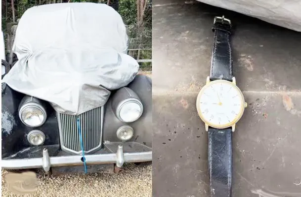 "Ghabad" found under the seat