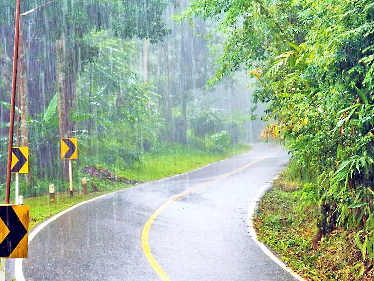गोव्याला पावसाने पुन्हा झोडपले Occasional rain showers in the city area