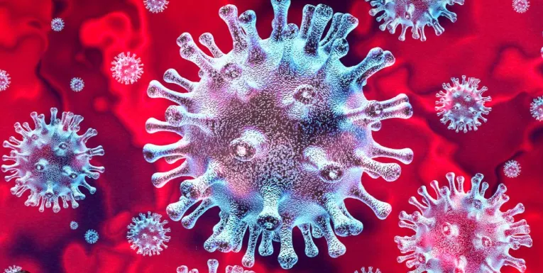 Another person in the city dies of COVID-19