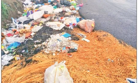 Heaps of garbage near Varye Bridge
