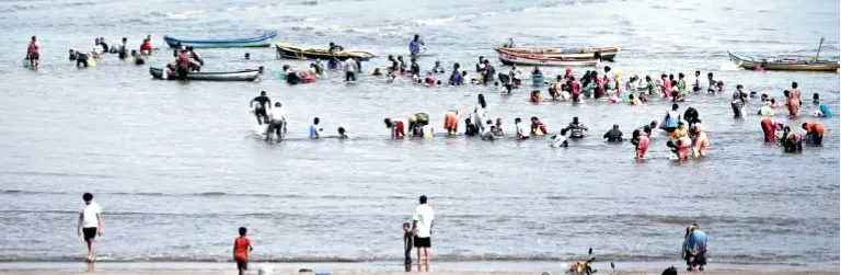 पांढरा समुद्र, भाट्ये किनाऱ्यावर ‘चायनिज मुळ्यां’ साठी झुंबड White sea: Rush at Bhatye beach for 'Chinese radishes'