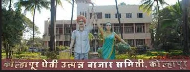 जुन्या गैरव्यवहाराची पुन्हा नव्याने चौकशी Fresh investigation into old irregularities