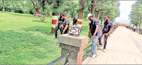Search for the mongoose cubs in Preetisangam Garden
