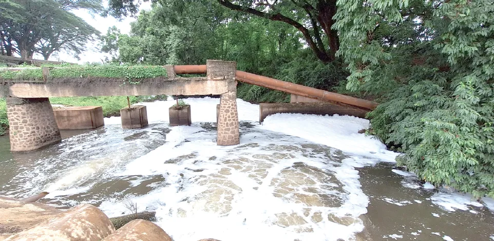 आला पावसाळा : साथीचे रोग टाळा ! Monsoon is here: Avoid infectious diseases!