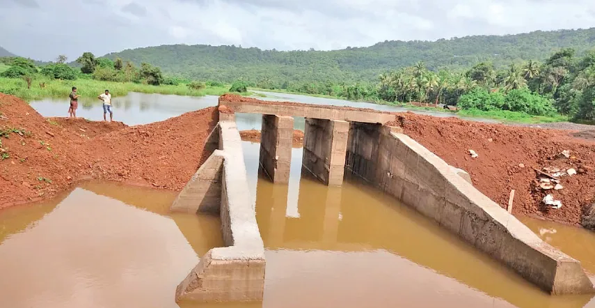 अर्धवट कामामुळे ‘भिले खारभूमी’ संकटात 'Bhile Wetland' in crisis due to incomplete work