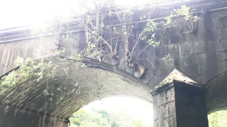 Vaduth and Vaade Bridge's 190th Birthday on 30th June