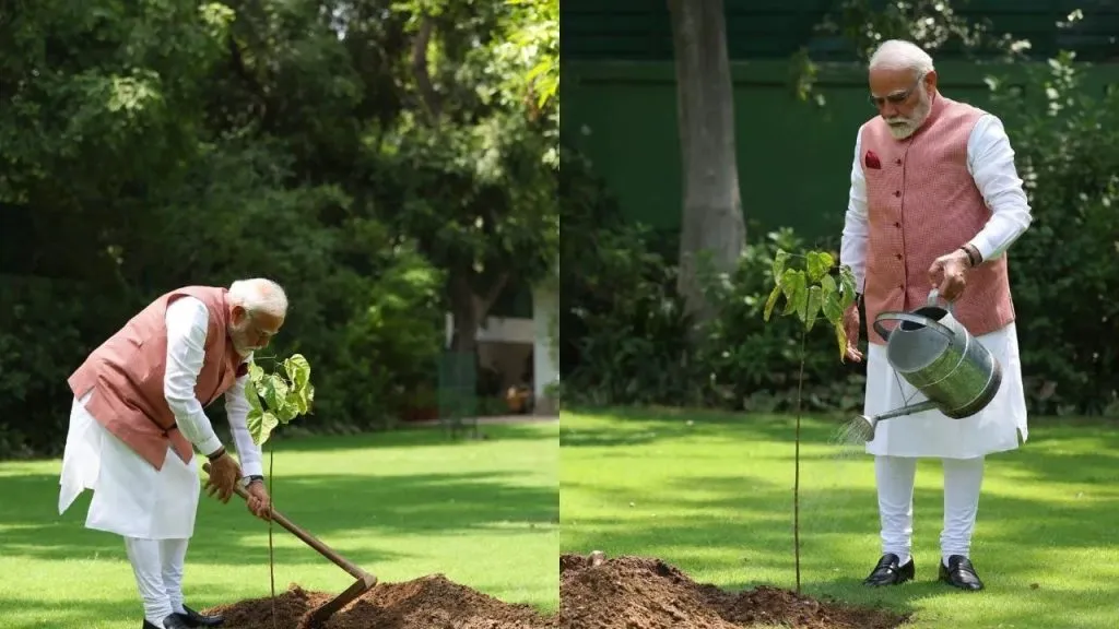 Prime Minister Modi plants 'Sindoor' trees