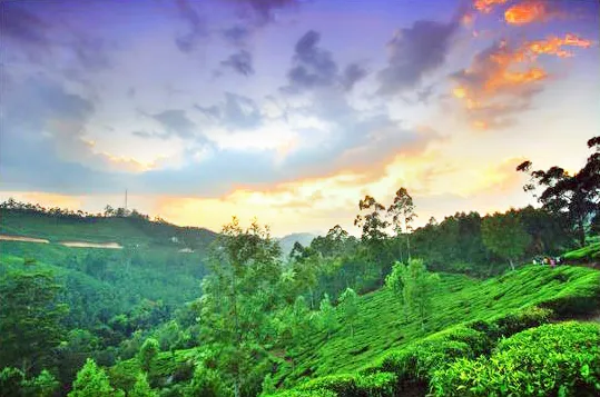 पश्चिम घाटाला वाचवूया! Let's save the Western Ghats!