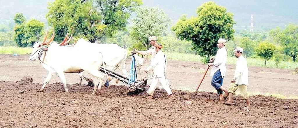 पावसाची उघडीप अन् शिवारात लगबग Break in the rain and hustle in the fields
