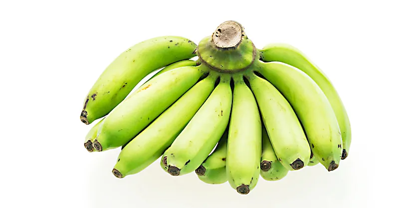 Distribution of raw bananas in government schools