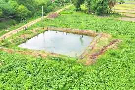 फलोत्पादन-कृषी खात्याकडून शेततळ्यांची पाहणी Inspection of farm ponds by the Department of Horticulture and Agriculture