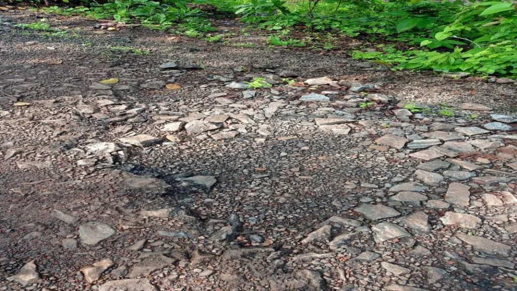 मळेवाड – कोंडुरा रस्त्याची दयनीय अवस्था