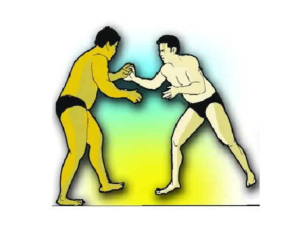 30 wrestlers from Delhi-Haryana temporarily suspended