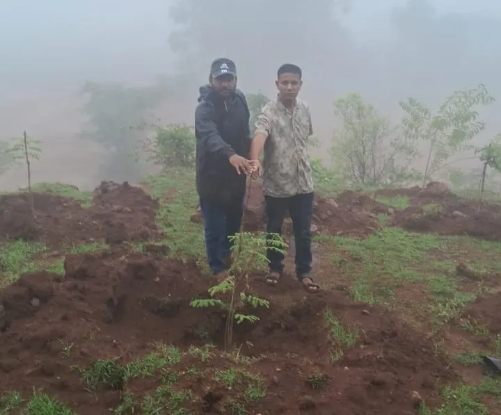 Tree Plantation on Kolhapur-Gaganbawda Road at a Decisive Stage