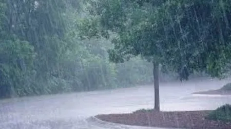 Rain Update: पुढील महिन्यातही परतीचा पाऊस बरसणार, हवामान खात्याचा अंदाज extended stay of the monsoon in some parts the state return rains