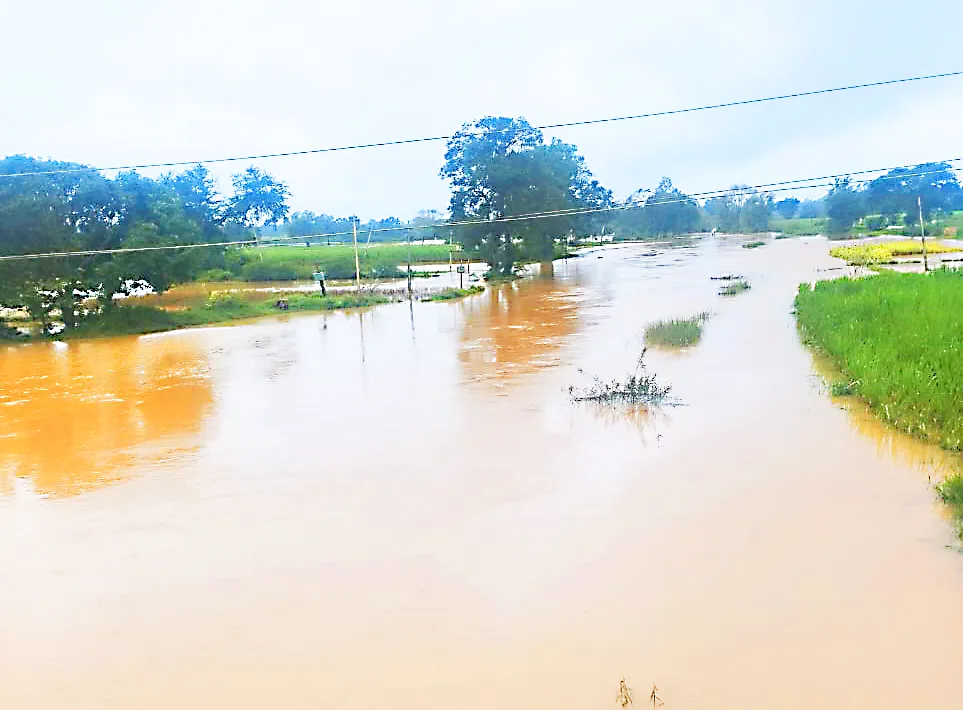 मार्कंडेय नदीकाठ अद्यापही पाण्याखाली Markandey river bank still under water