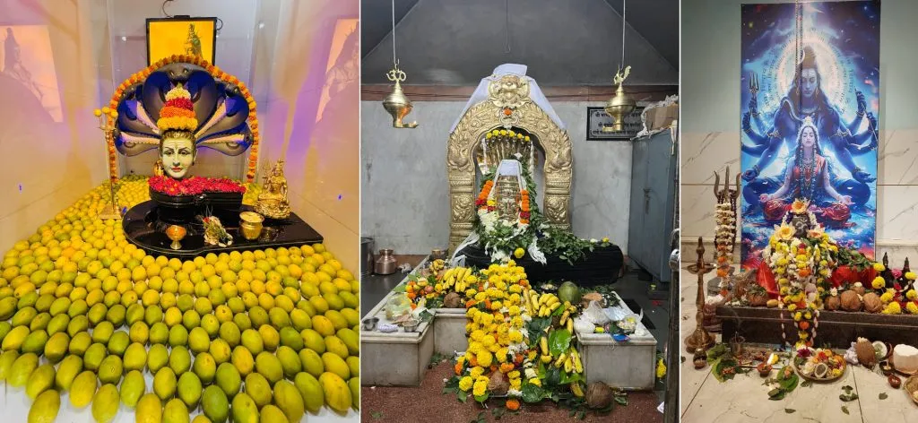 Shravan Monday-Naagchavathi Celebration with Faith