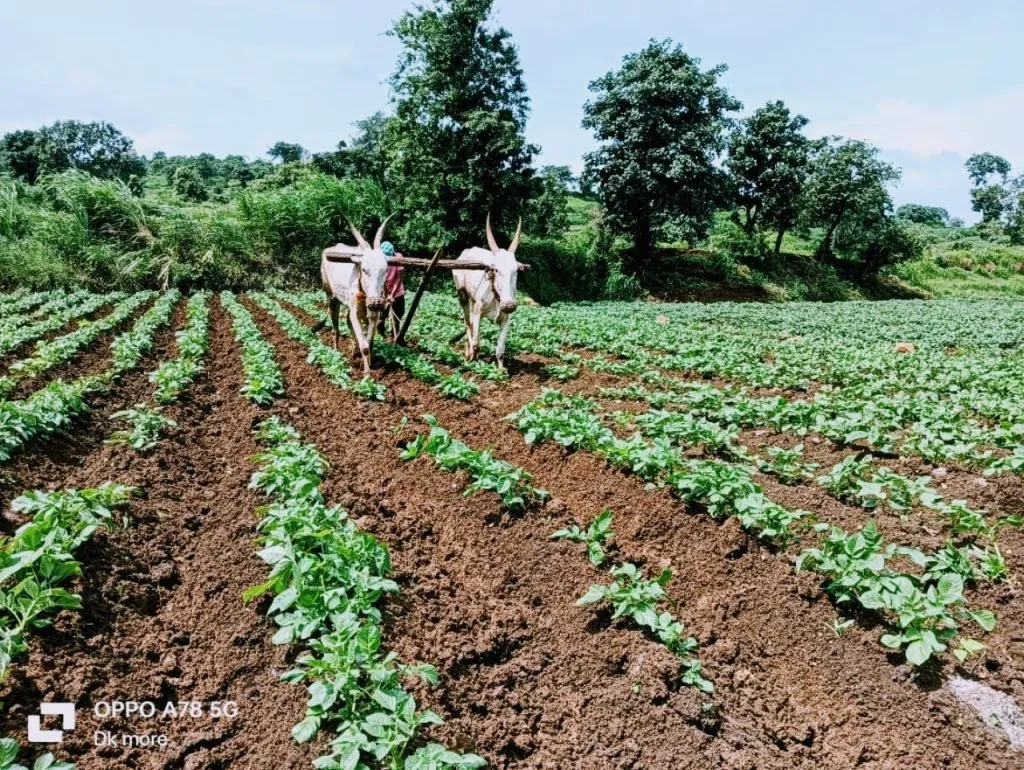Rain exposure on farmers' roads