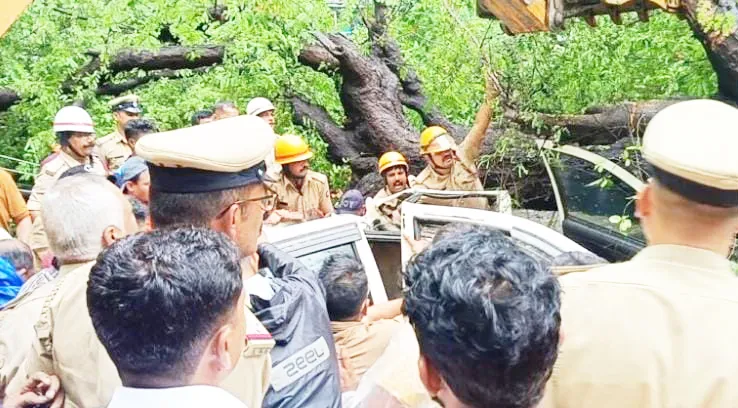 कारवर झाड कोसळल्याने महिला ठार Woman killed after tree falls on car
