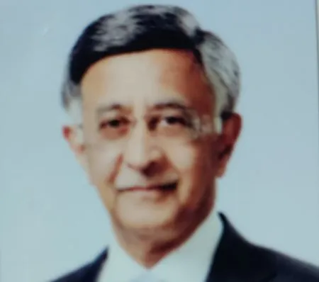 पी. डी. पाटील महाराष्ट्र भूषण पुरस्कार बाबा कल्याणी यांना जाहीर P. D. Patil Maharashtra Bhushan Award announced for Baba Kalyani