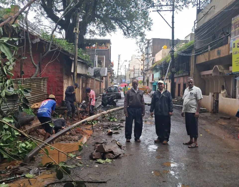 स्वामी विवेकानंद मार्ग येथे वृक्षाची फांदी कोसळून नुकसान Damage caused by falling tree branch on Swami Vivekananda Marg