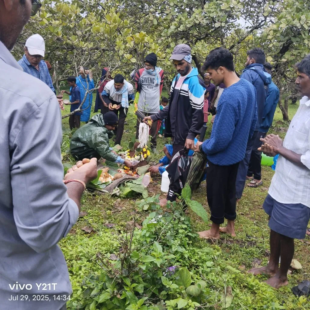 Varula worship on the occasion of Nag Panchami in the taluka