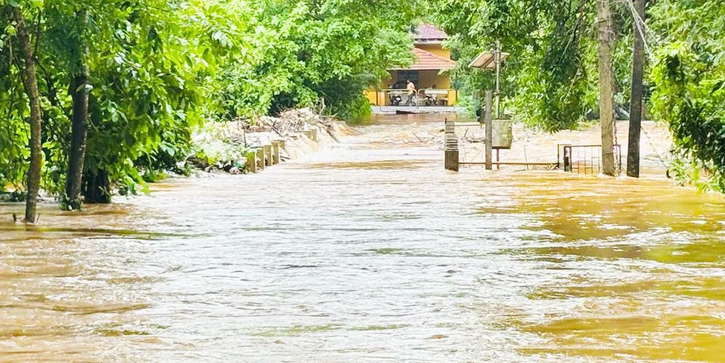 आषाढी पावसाने गोव्याला झोडपले Ashadhi rains lashed Goa