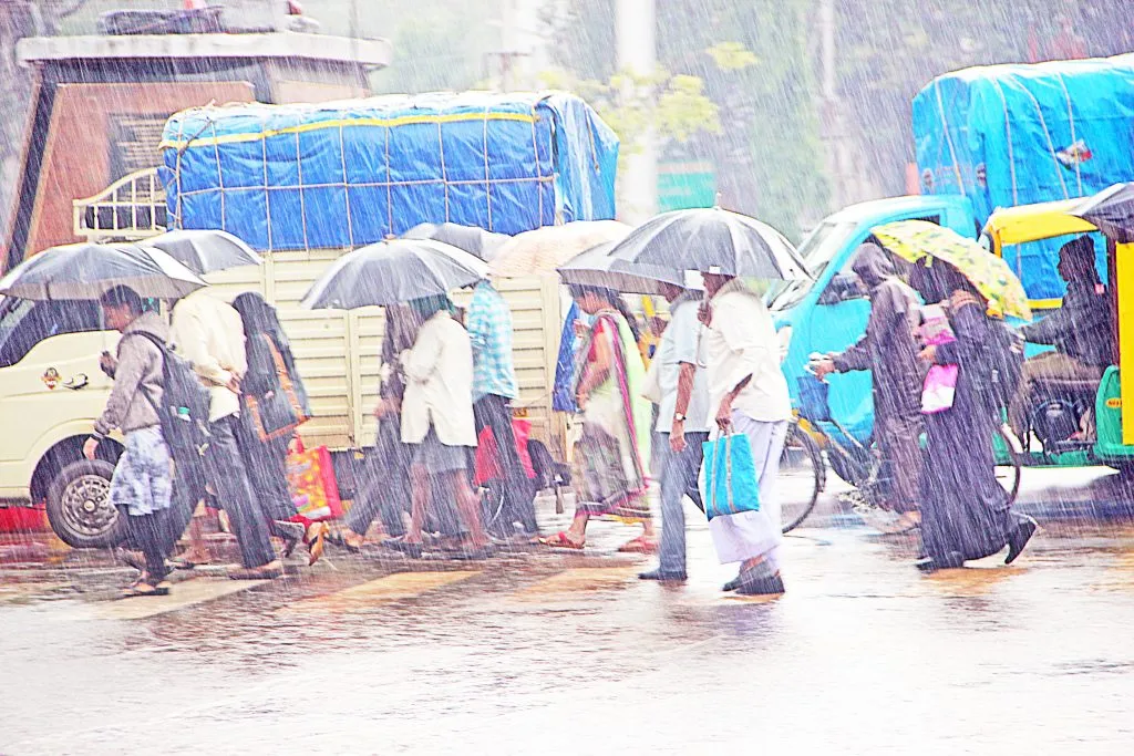 पुनर्वसुची जोरदार सलामी… A strong salute to Punarvasu...