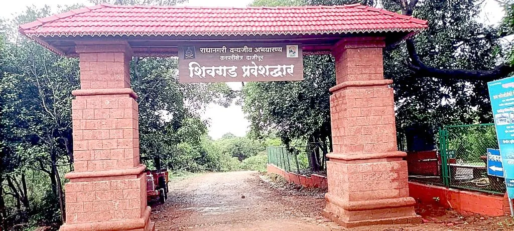 A golden opportunity to experience the rains of Dajipur